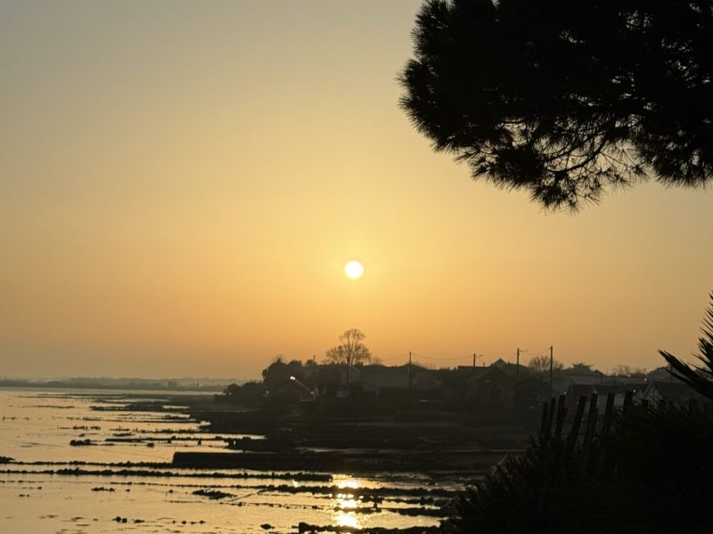 La Villa Equinoxe - Location Bourcefranc Le Chapus16