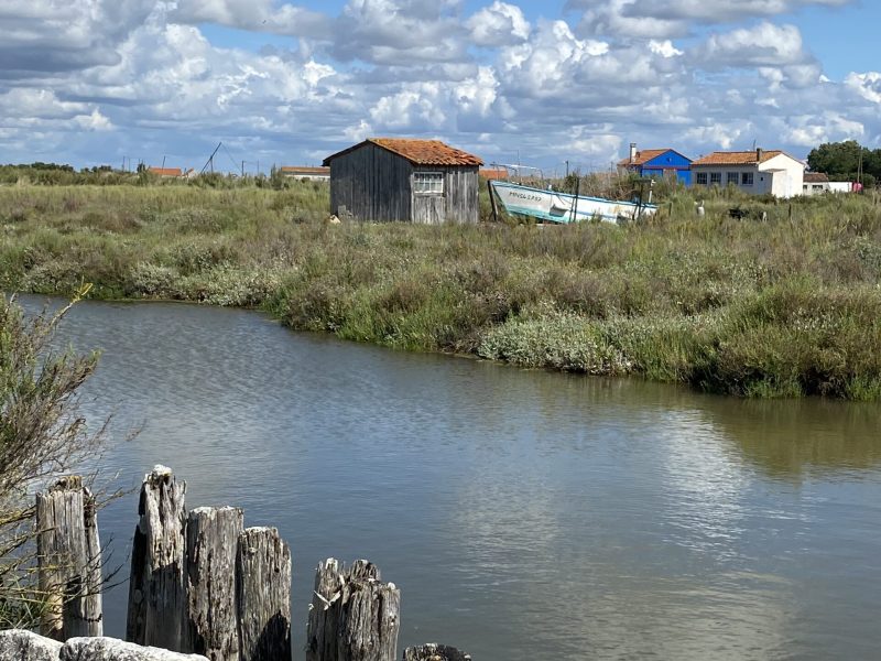 La Villa Equinoxe - Location Bourcefranc Le Chapus29